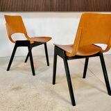Set of 6 Dining Chairs P7 by Roland Rainer for E & A Pollack, Vienna 1952