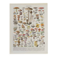Planche botanique originale "Champignons I" de 1929