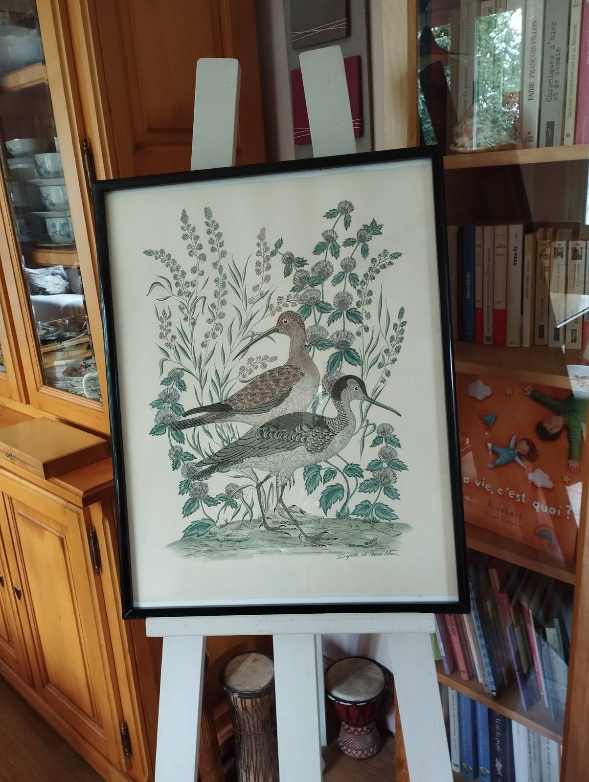 Aquarelle courlis Dayelle de Terronblan