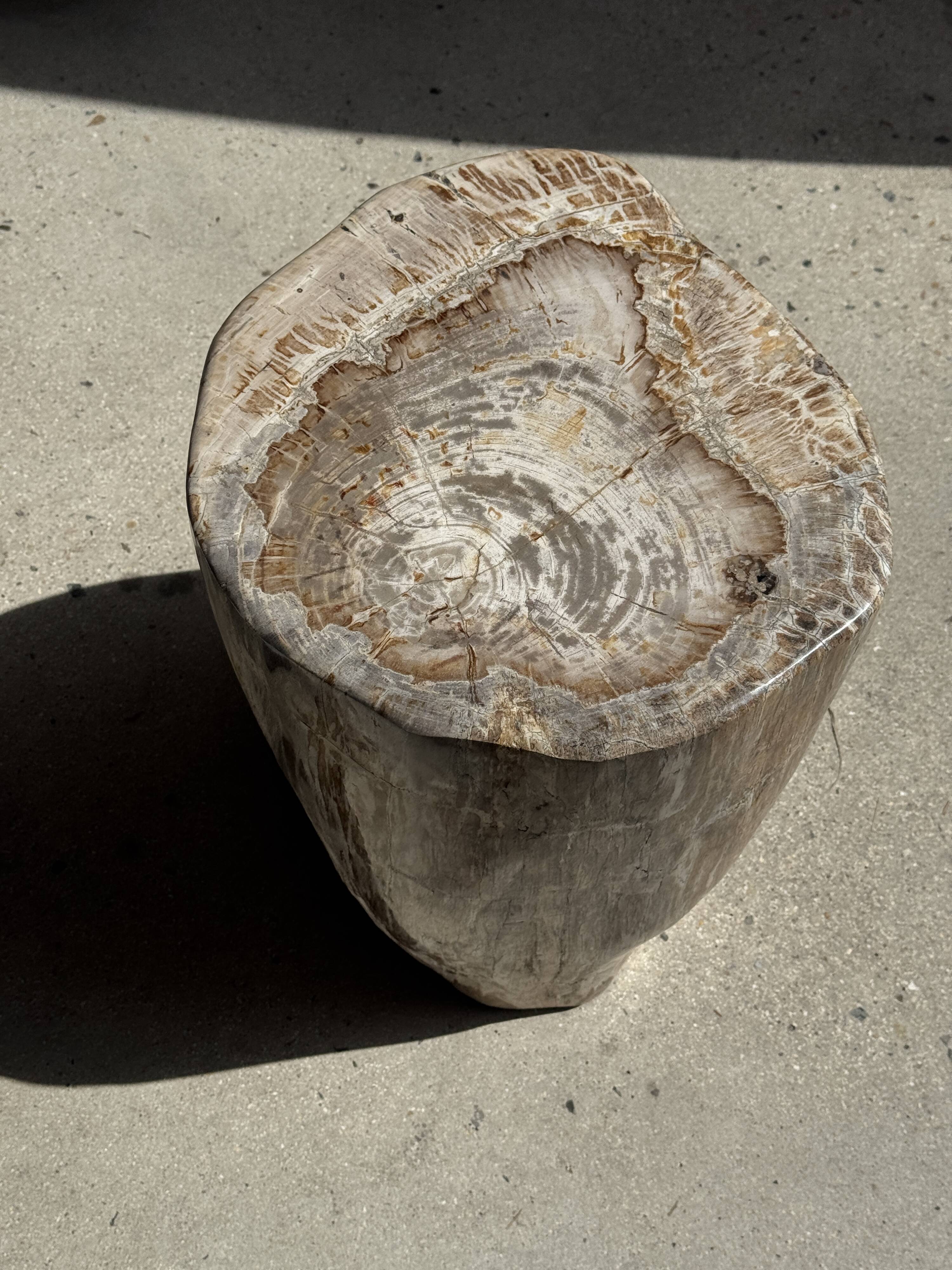 Very large white and grey petrified wood side table H45 D39 - 334
