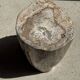 Very large white and grey petrified wood side table H45 D39 - 334
