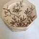 Set of 11 octagonal plates with English faience flowers 1870