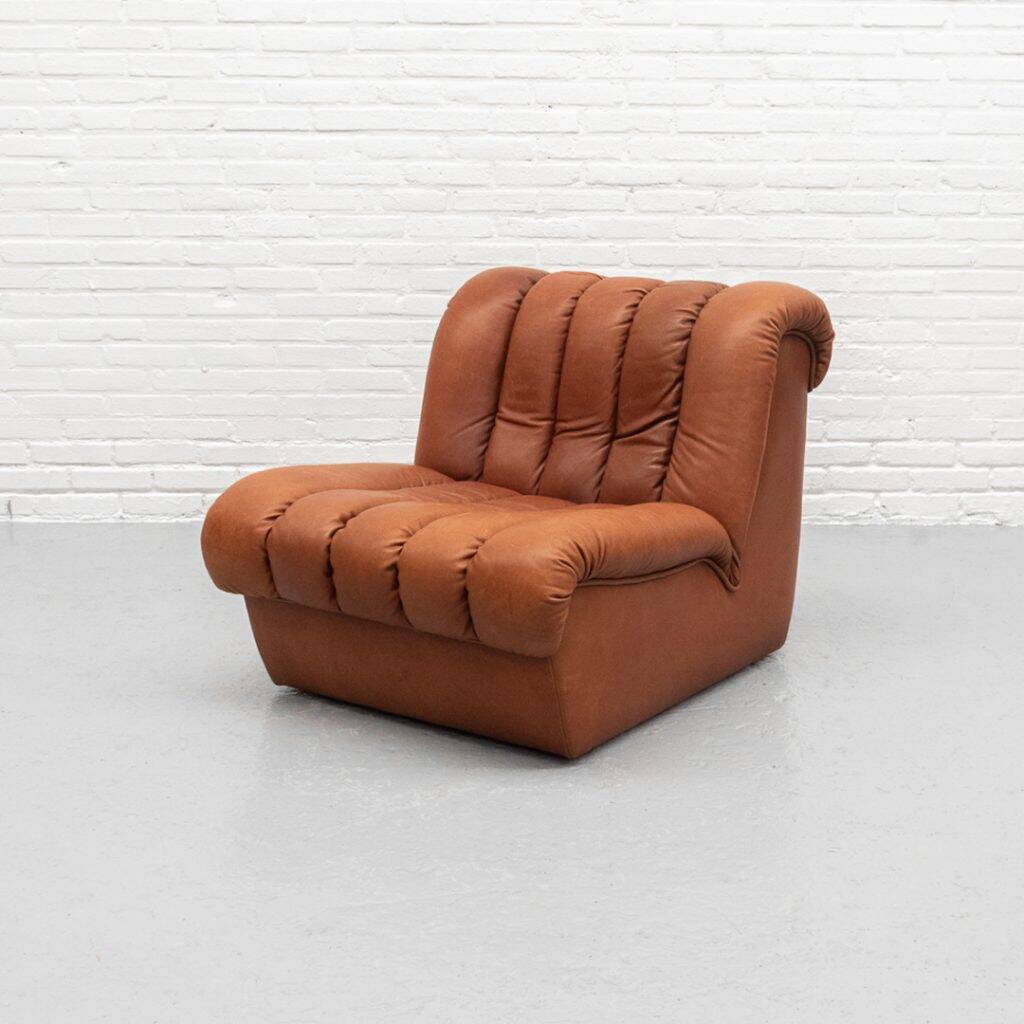 Fauteuil De Sede DS-85