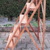 Painter's stepladder varnished