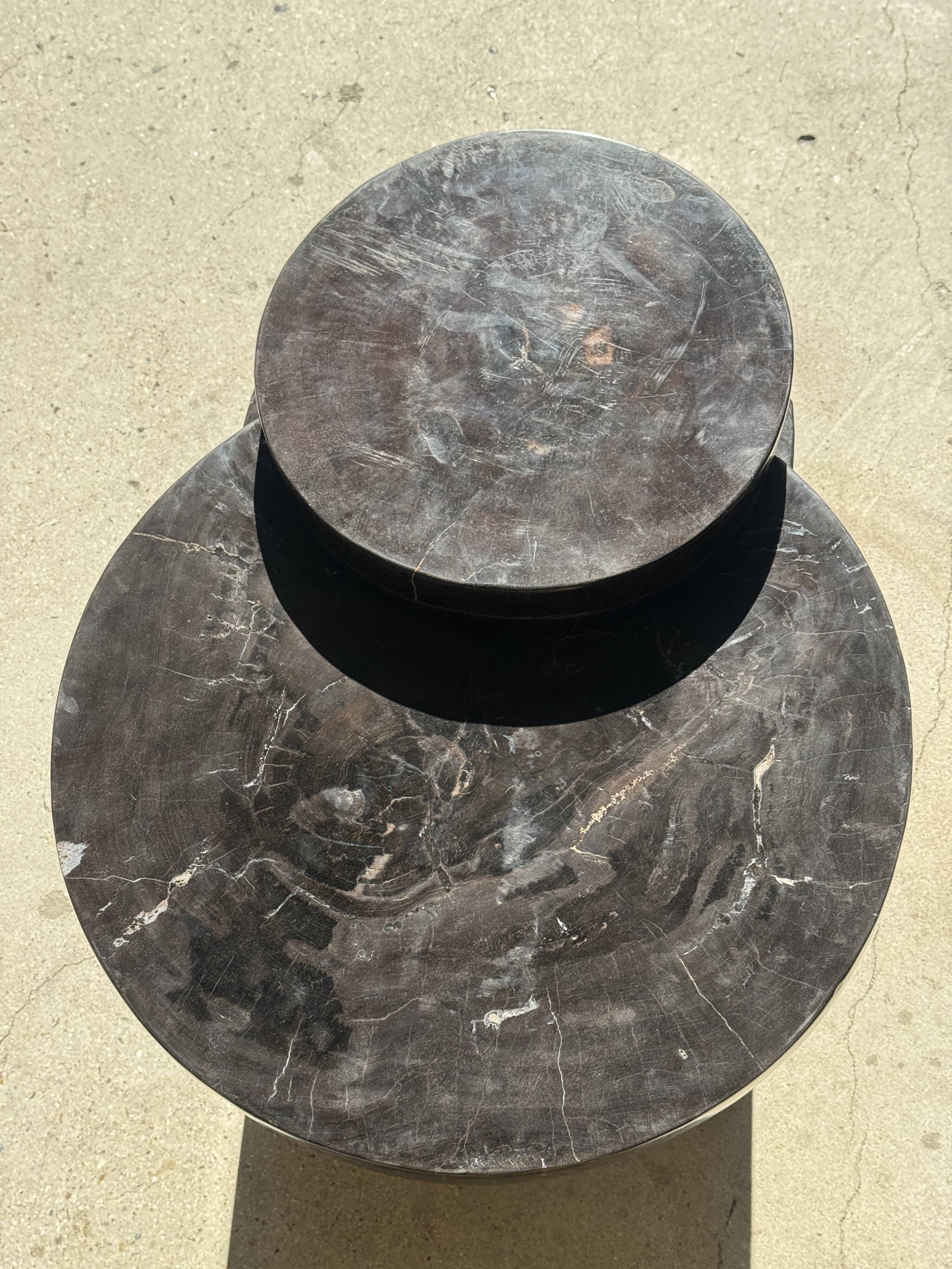 Brown petrified wood coffee table from Indonesia with a double circular top.
