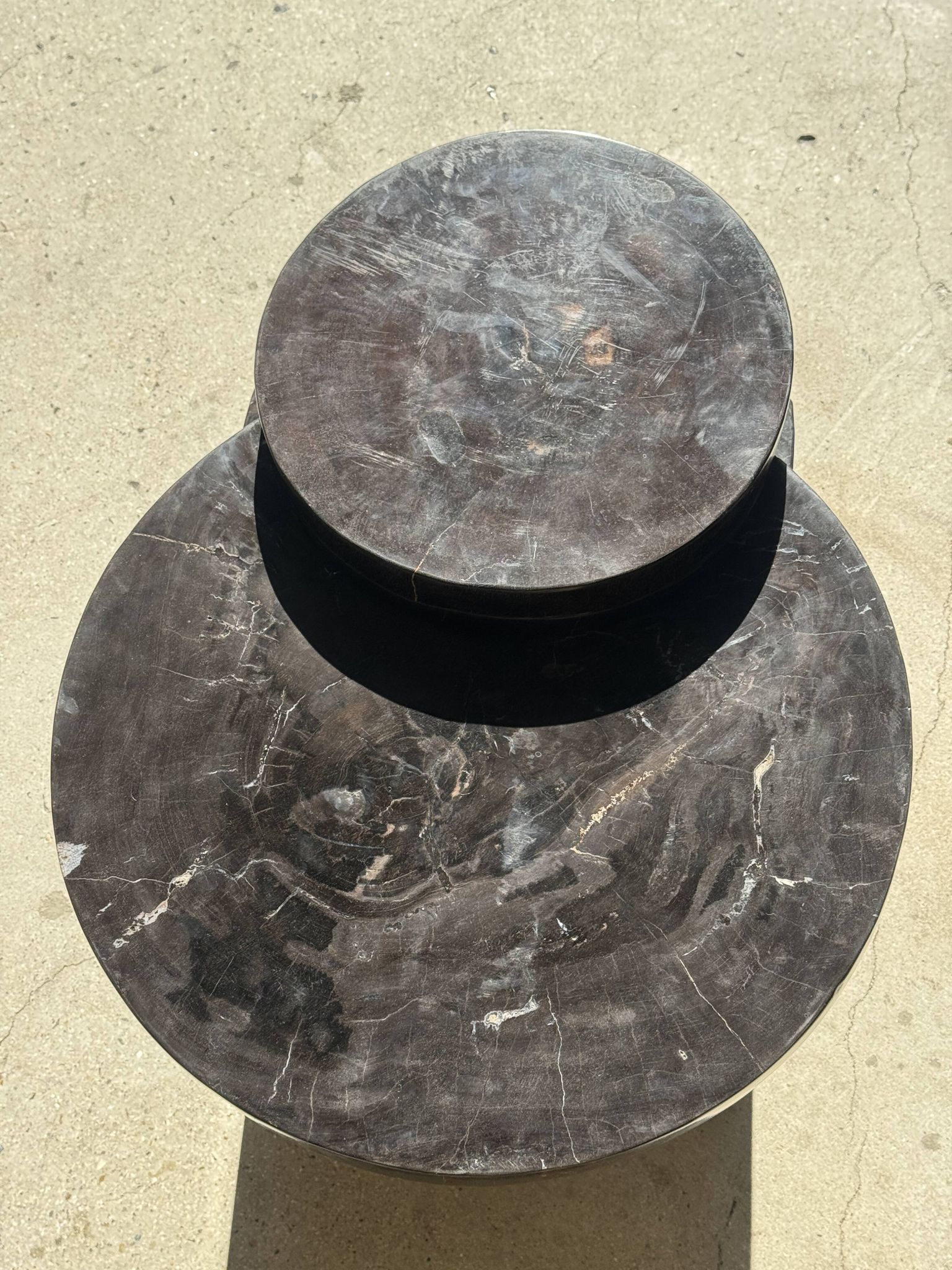 Brown petrified wood coffee table from Indonesia with a double circular top.