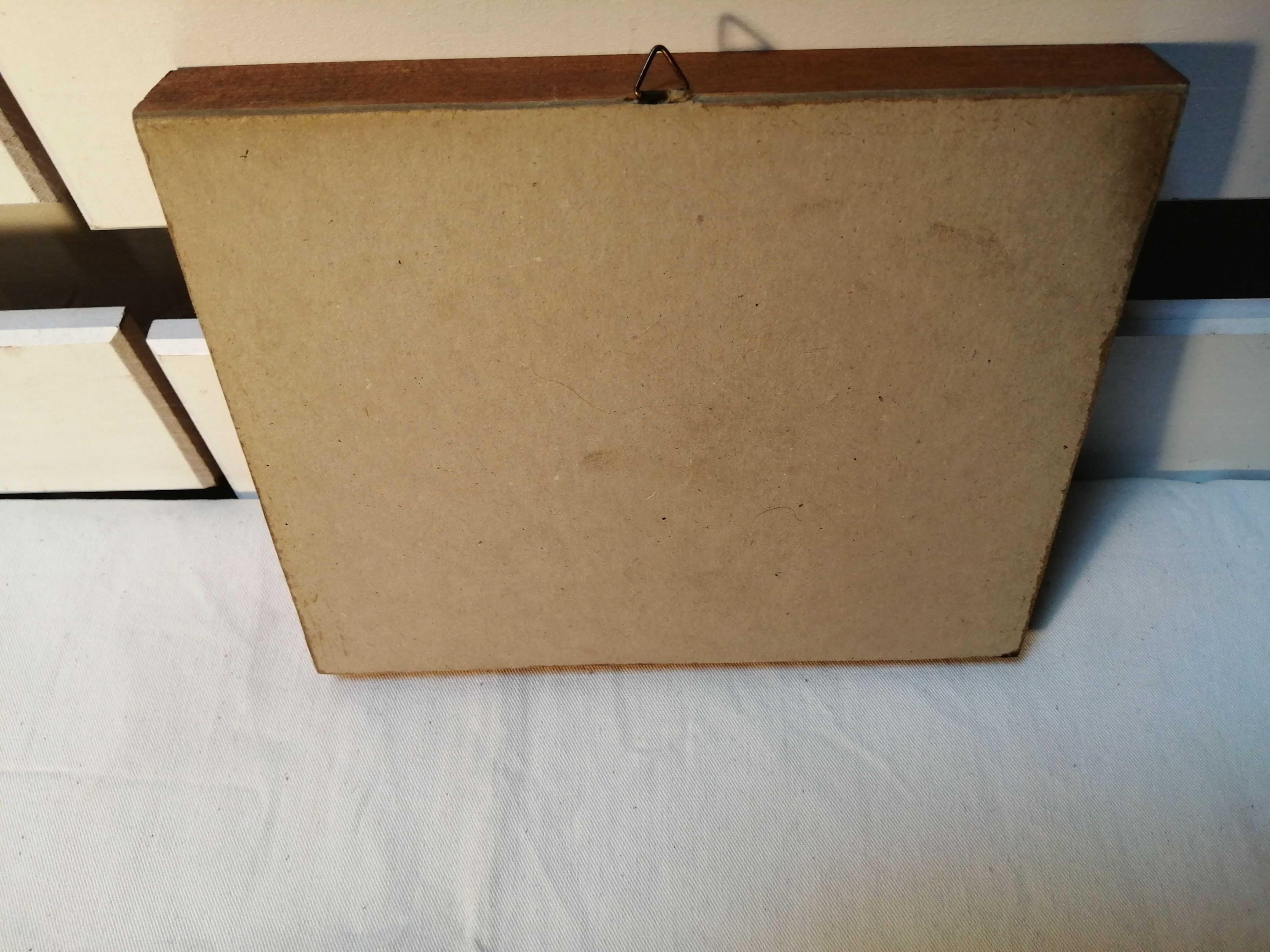 Butterfly frame Morpho Menelaus - Brazil