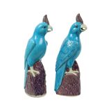 Pair of Turquoise Glazed Parrots Chinese Porcelain 30cm