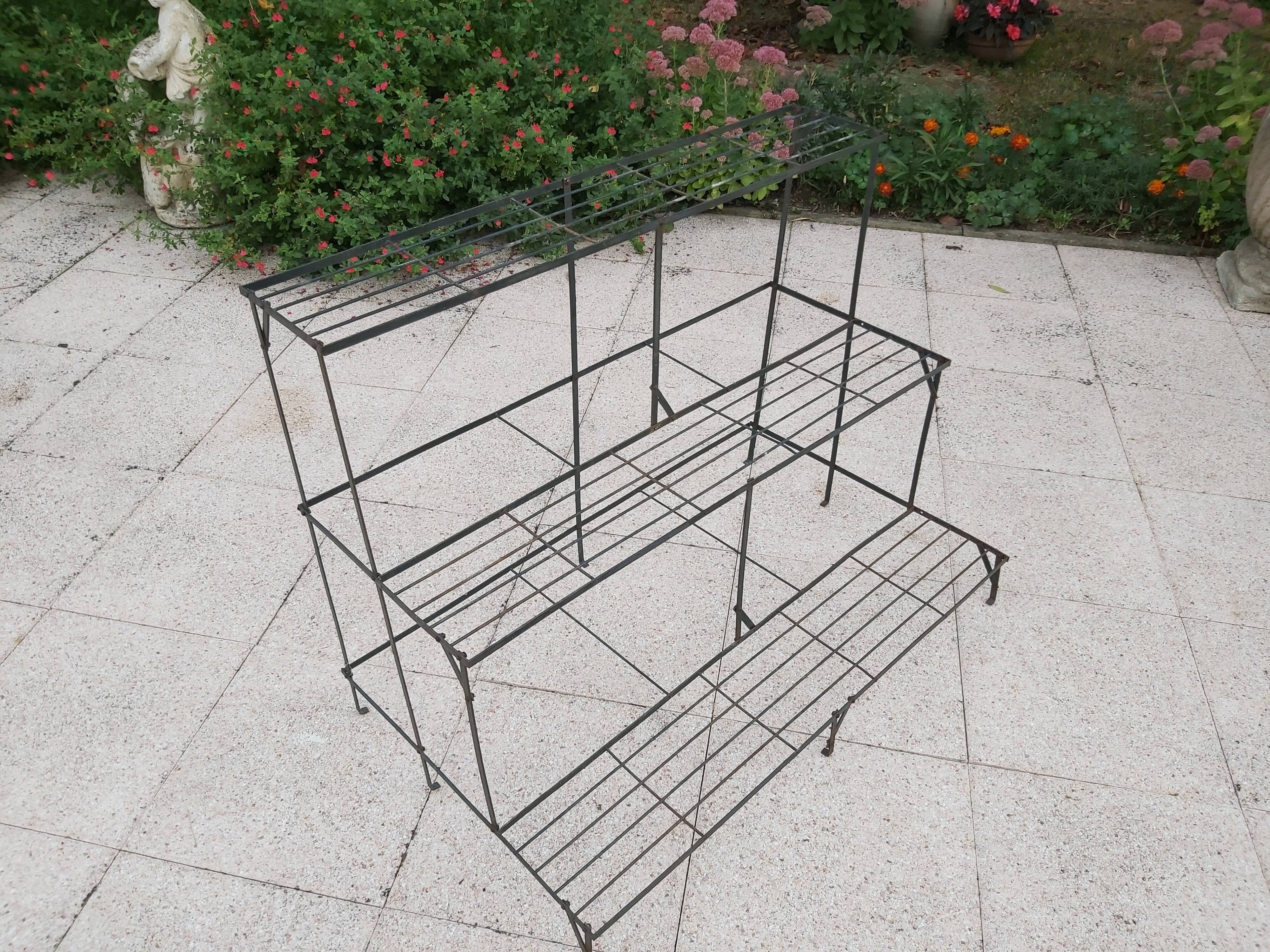 Iron plant holder