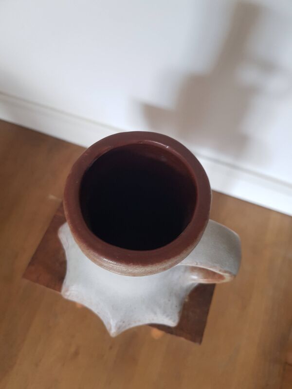 Vase de tortue de lave grasse