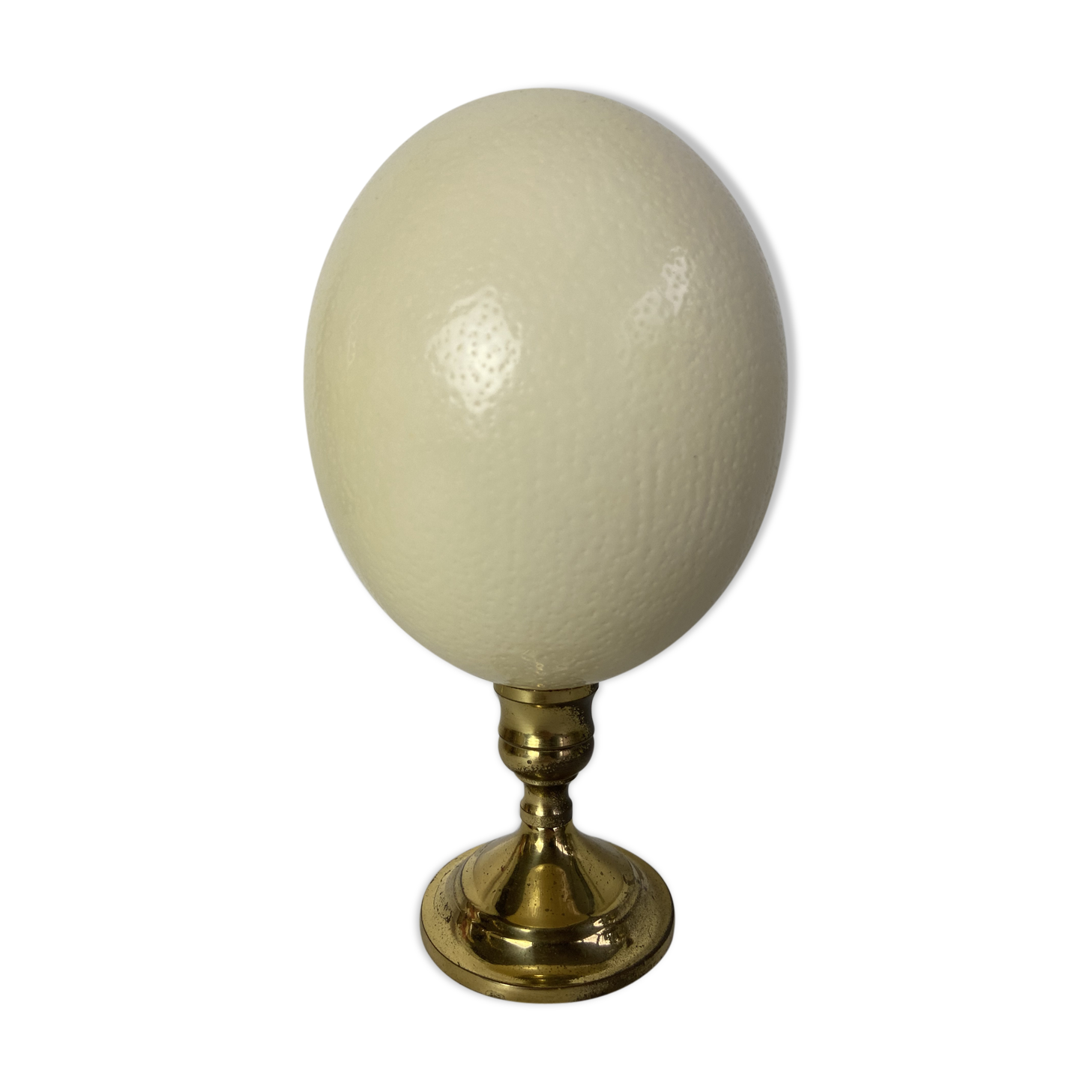 Oeuf d'autruche