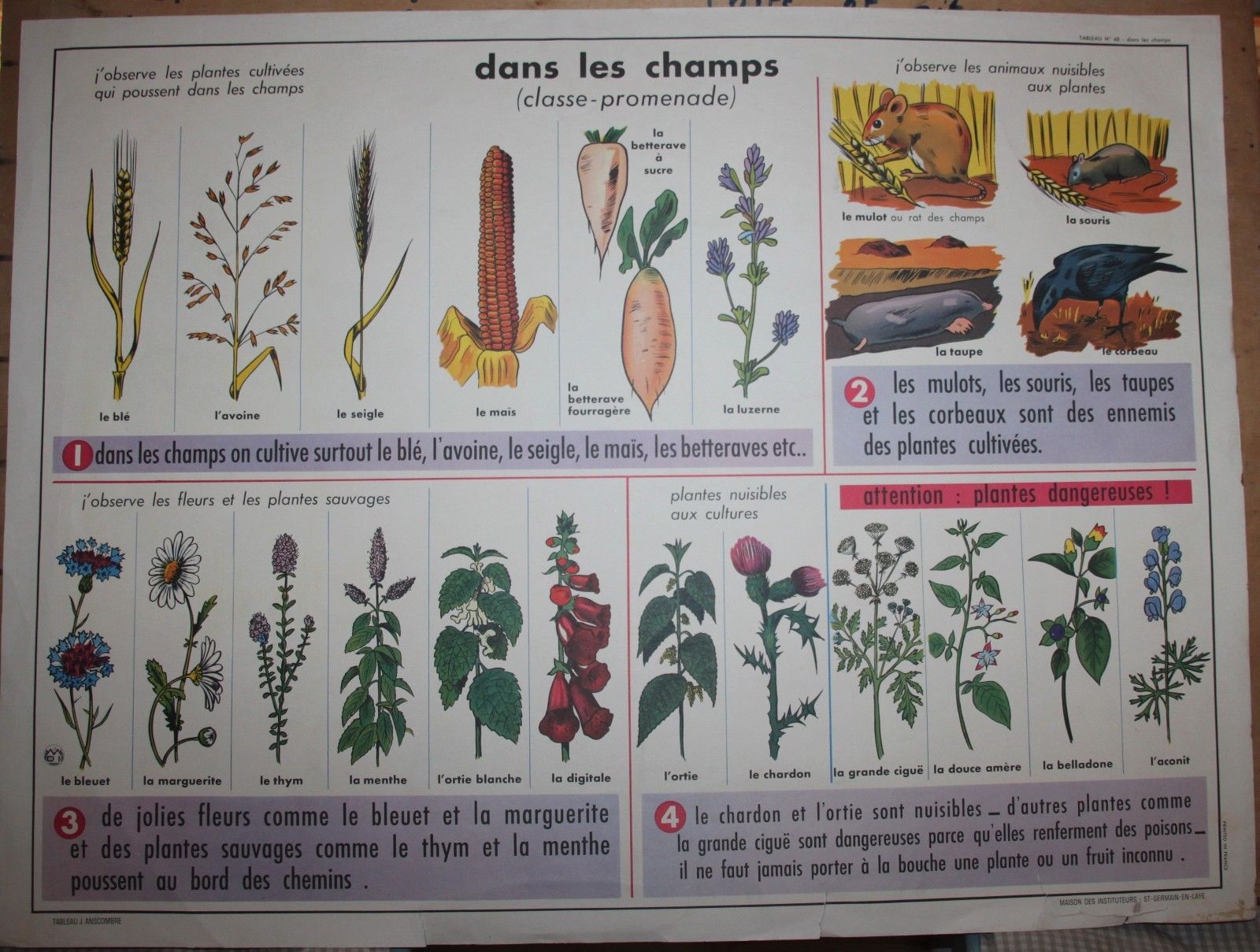 Poster school vintage MDI in the fields and garden 47 and 48
