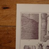 Original lithographs on trees