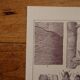 Original lithographs on trees
