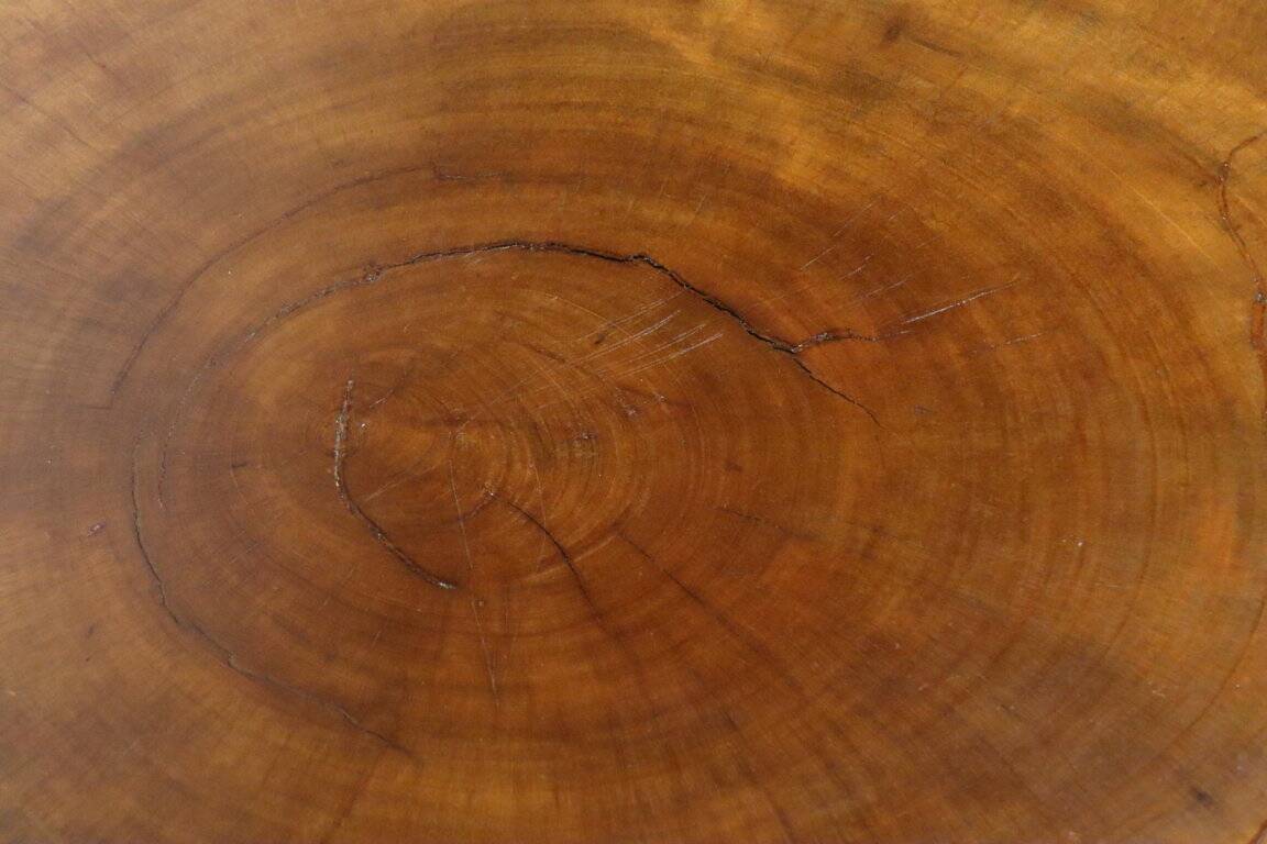 Vintage brutalist solid wood coffee table, 1960s