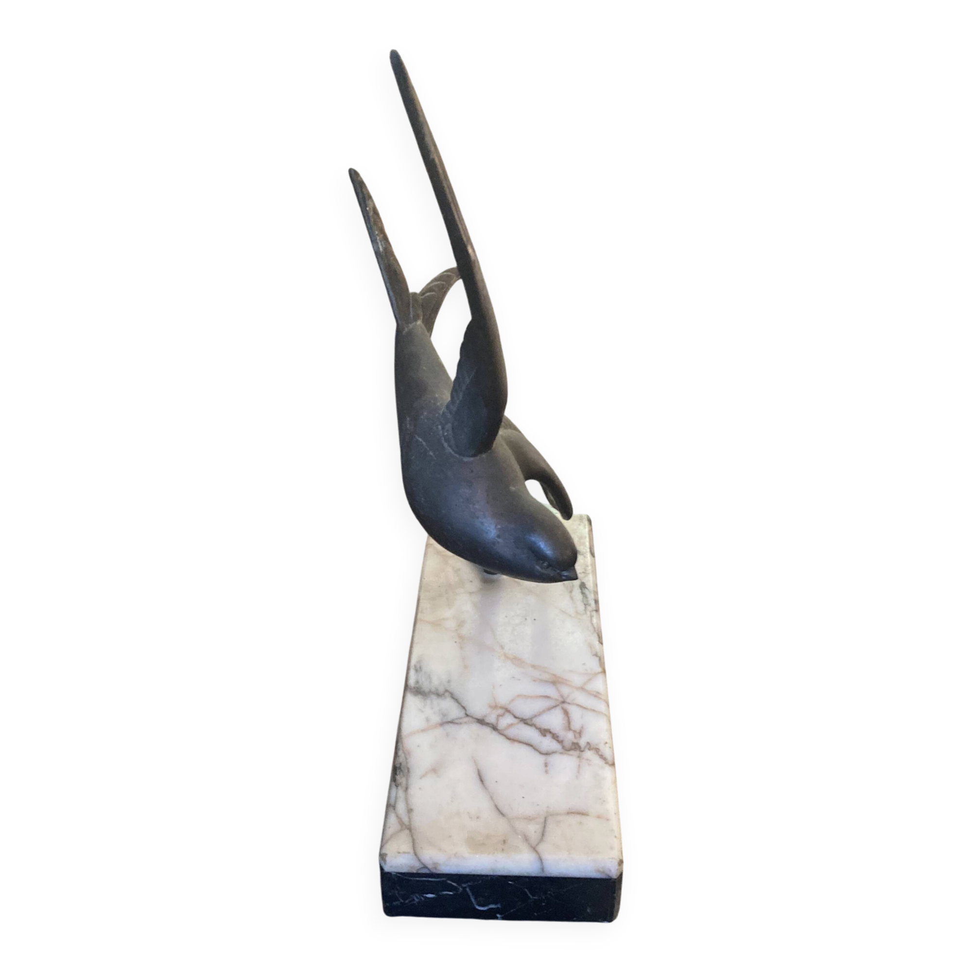 Swallow
