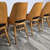 Dining Chairs by Radomir Hoffman for Ton, 1950s, Set of 8