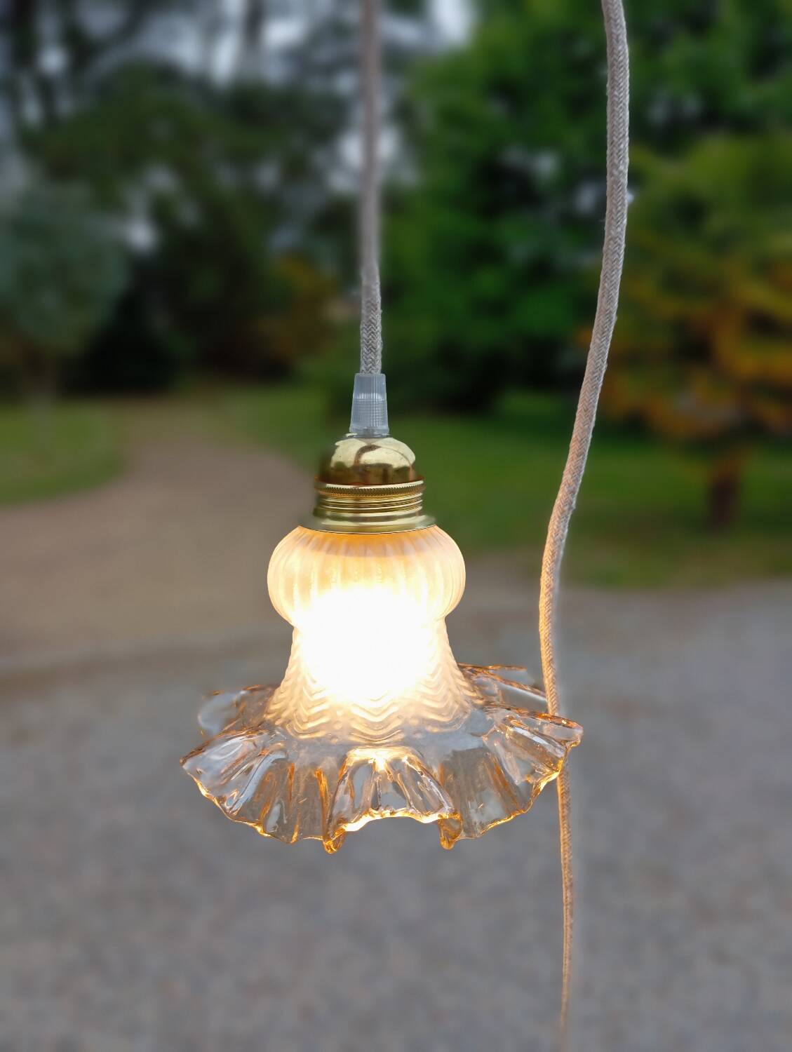 Amber yellow tulip glass nomad pendant light 🌷