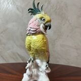 Saxony porcelain parrot