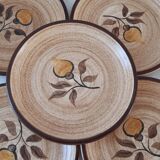 Set of 5 dessert plates in Salins stoneware 70s