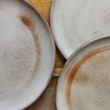 Flat plates in sandstone from the vintage 70s marsh