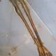 Bronze wall lamp Heron ep art deco 1930/40