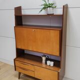 Shelf wall cabinet secretary