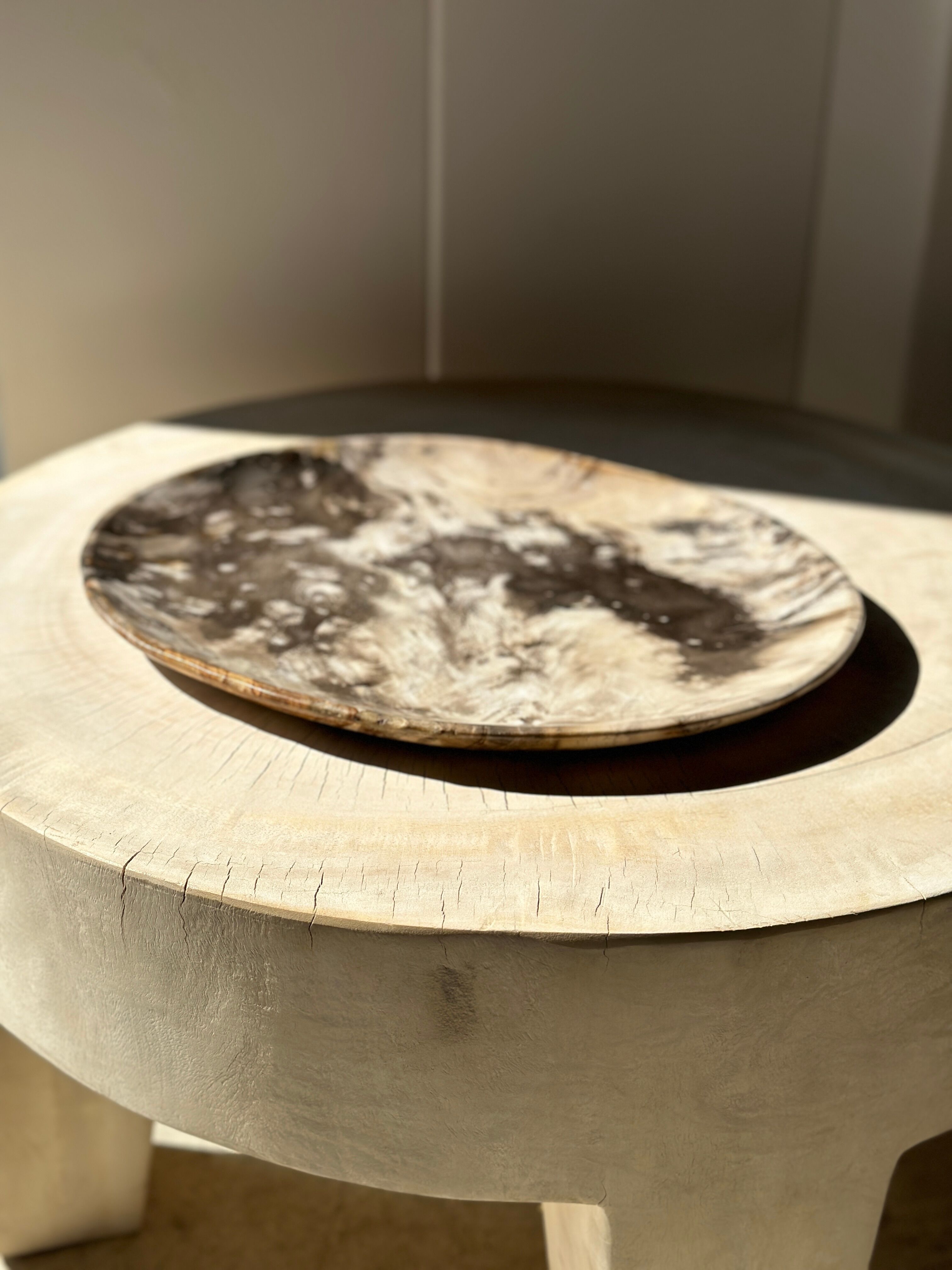 Very large empty pocket or petrified wooden flat