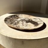 Very large empty pocket or petrified wooden flat