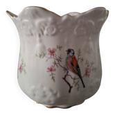 Vase de plante