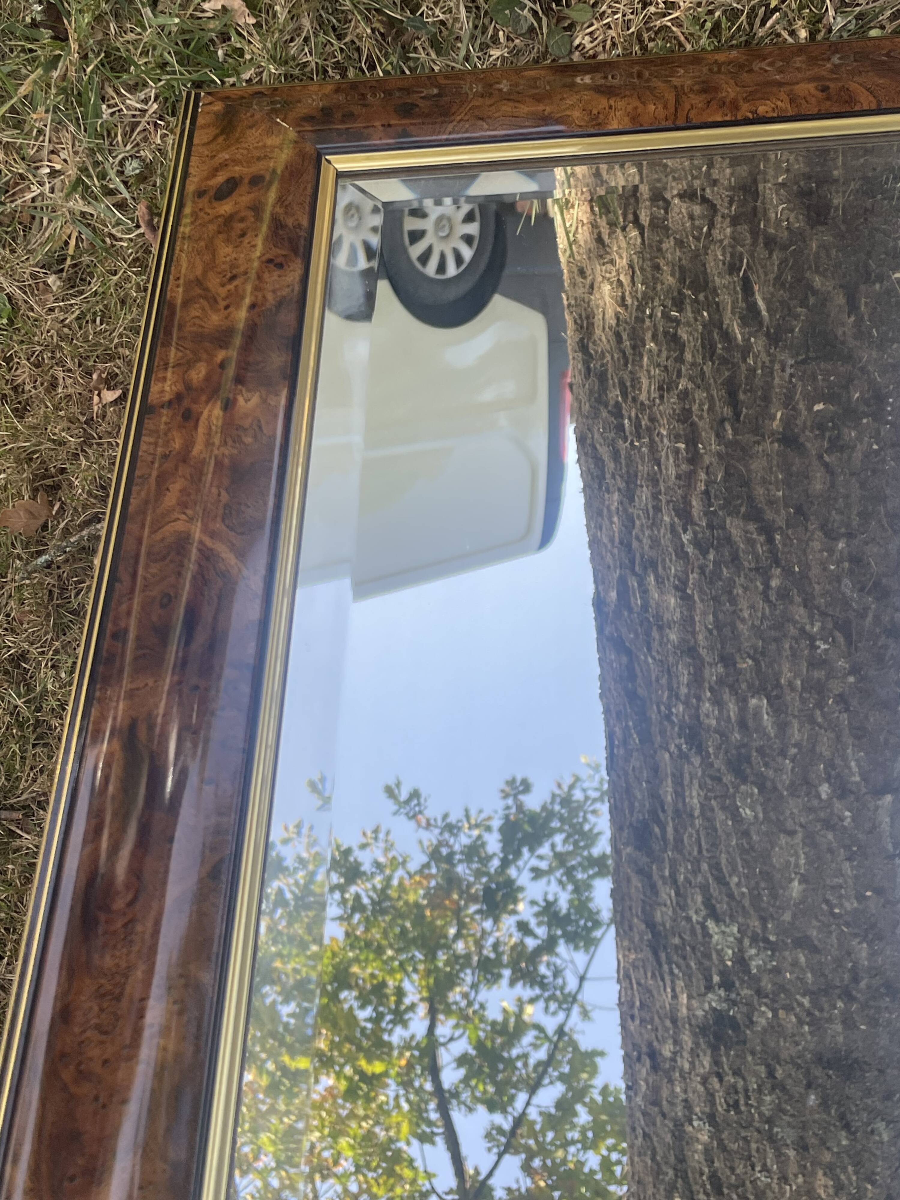 Grand miroir moulure doucine loupe d'orme, miroir biseauté