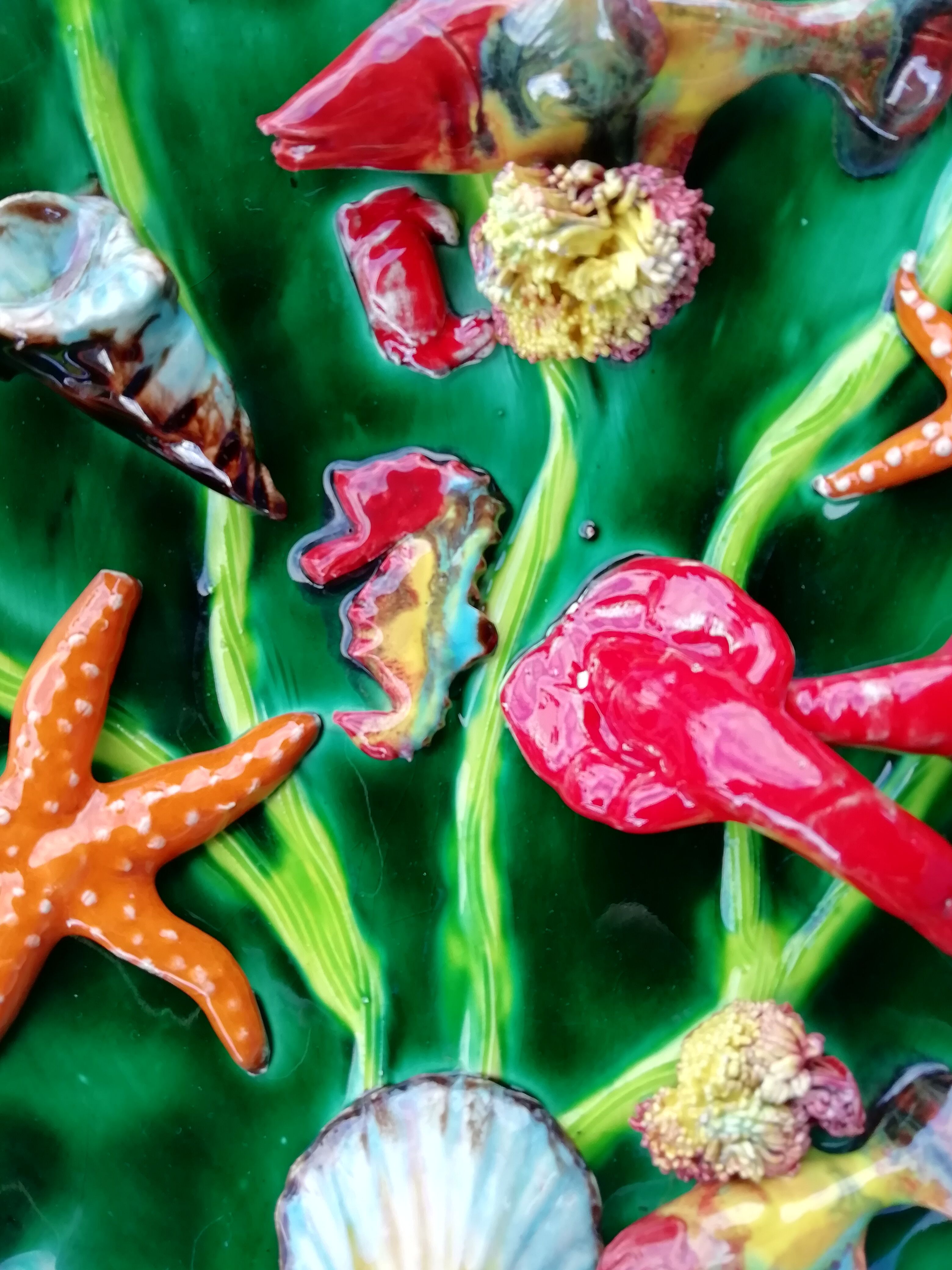 Wall plate marine animals