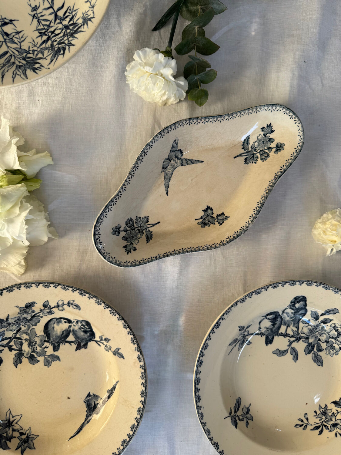 Lot of Favourite plates Sarreguemines