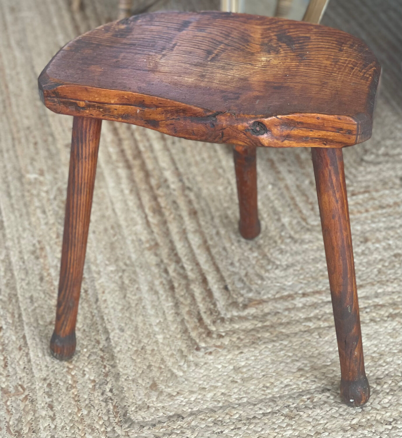 Oak cowbird stool