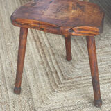 Oak cowbird stool