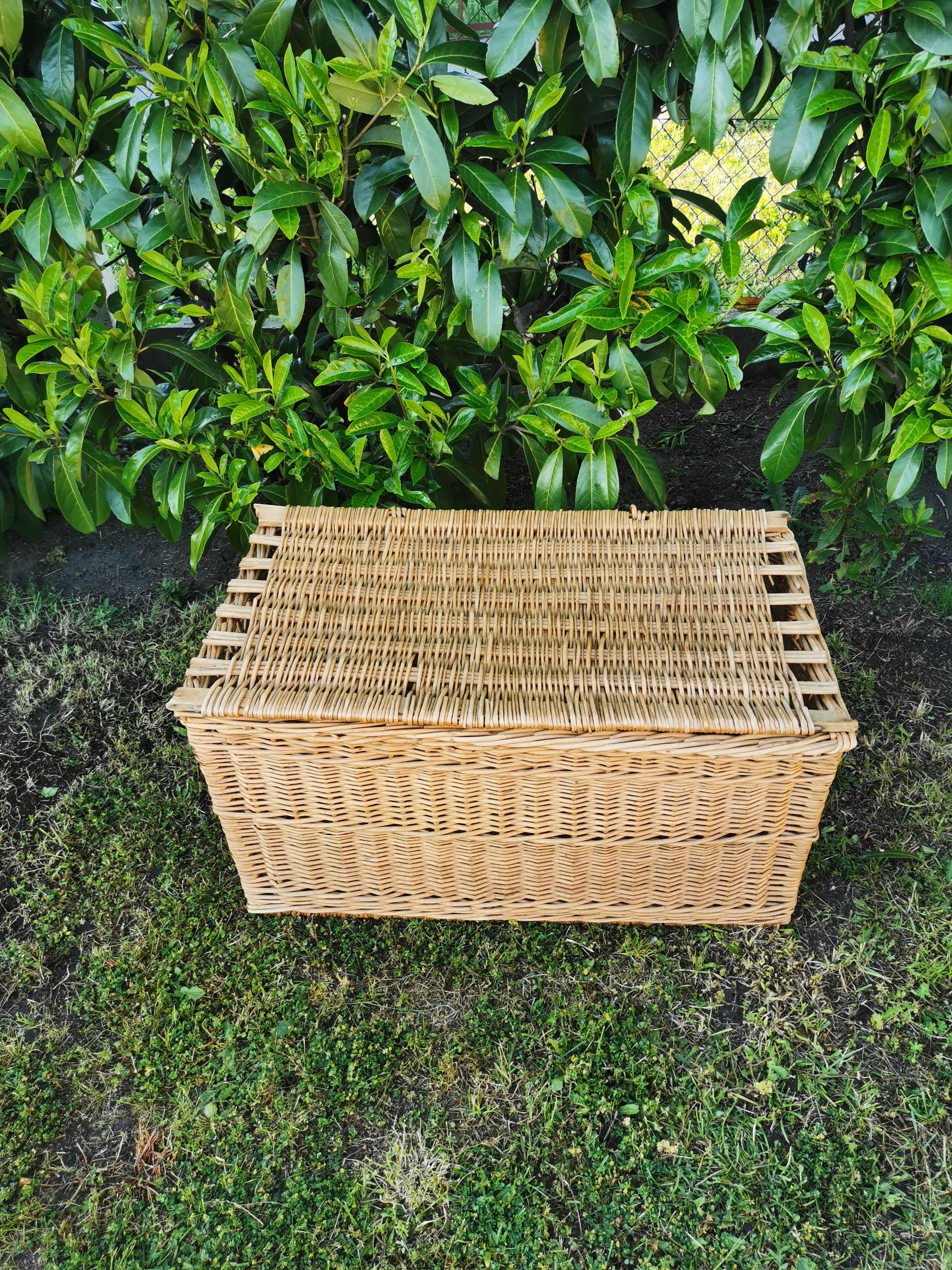 Rattan trunk