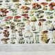 Old engraving 1898, Mushrooms 1, picking • Lithograph, Original plate