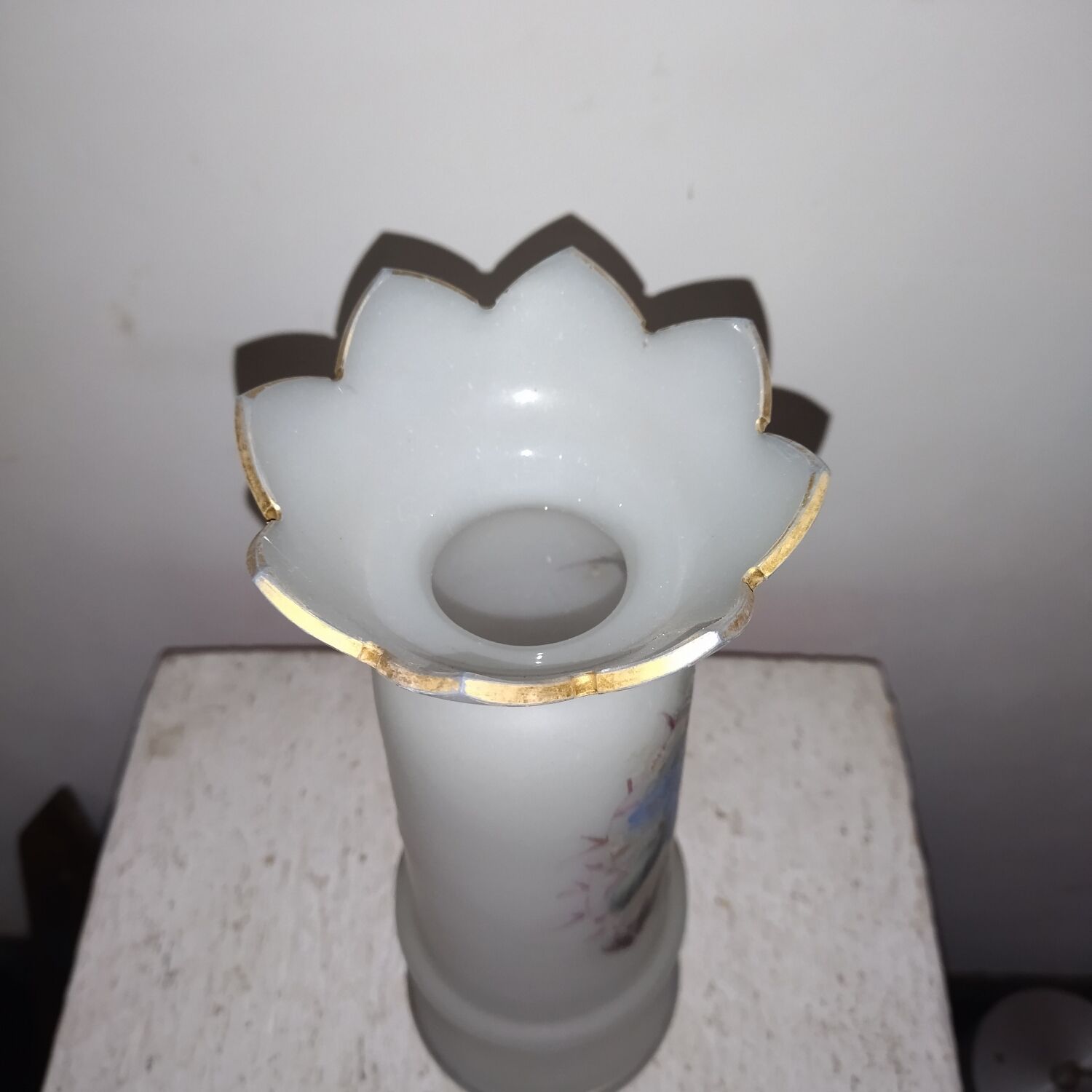 Enamelled opaline glass vase