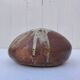 Flower vase, pyrite stoneware, signed, vintage