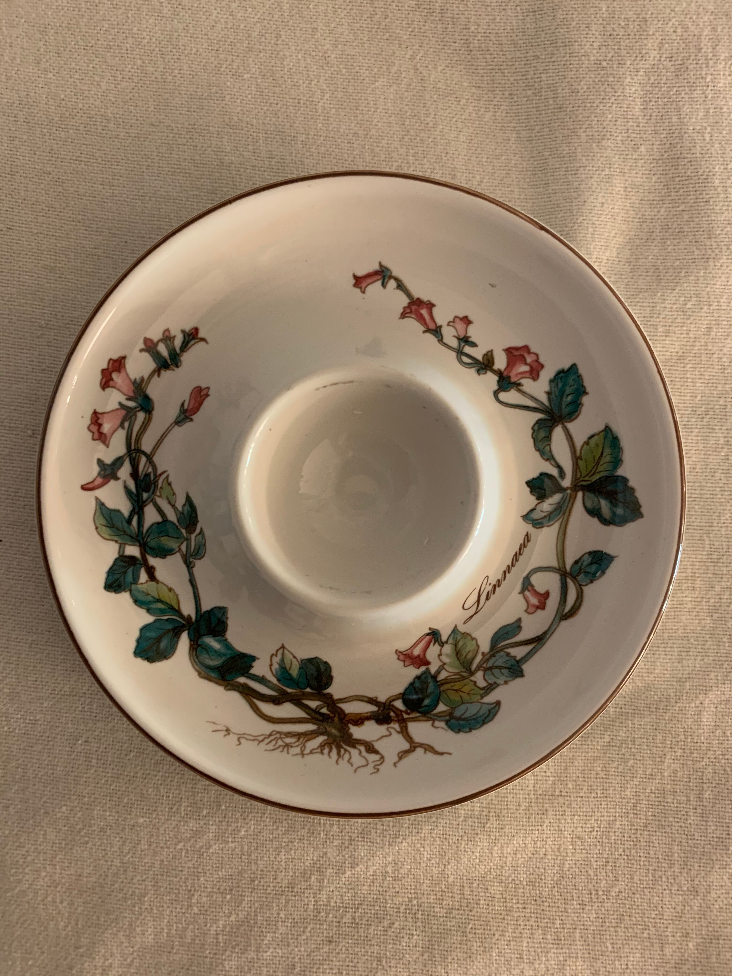 Pair of cockroaches Botanica Linnaea or Twinflower de Villeroy and Boch