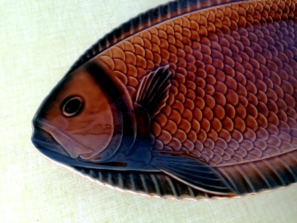 Fish dish slurry Sarreguemines