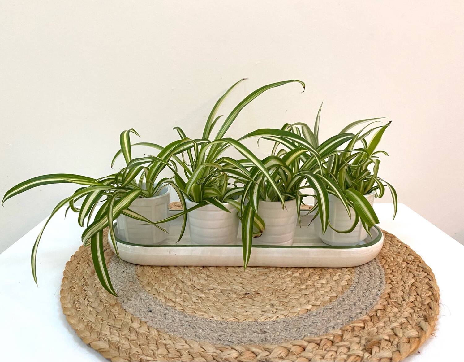 Set of 4 small ceramic plant pots