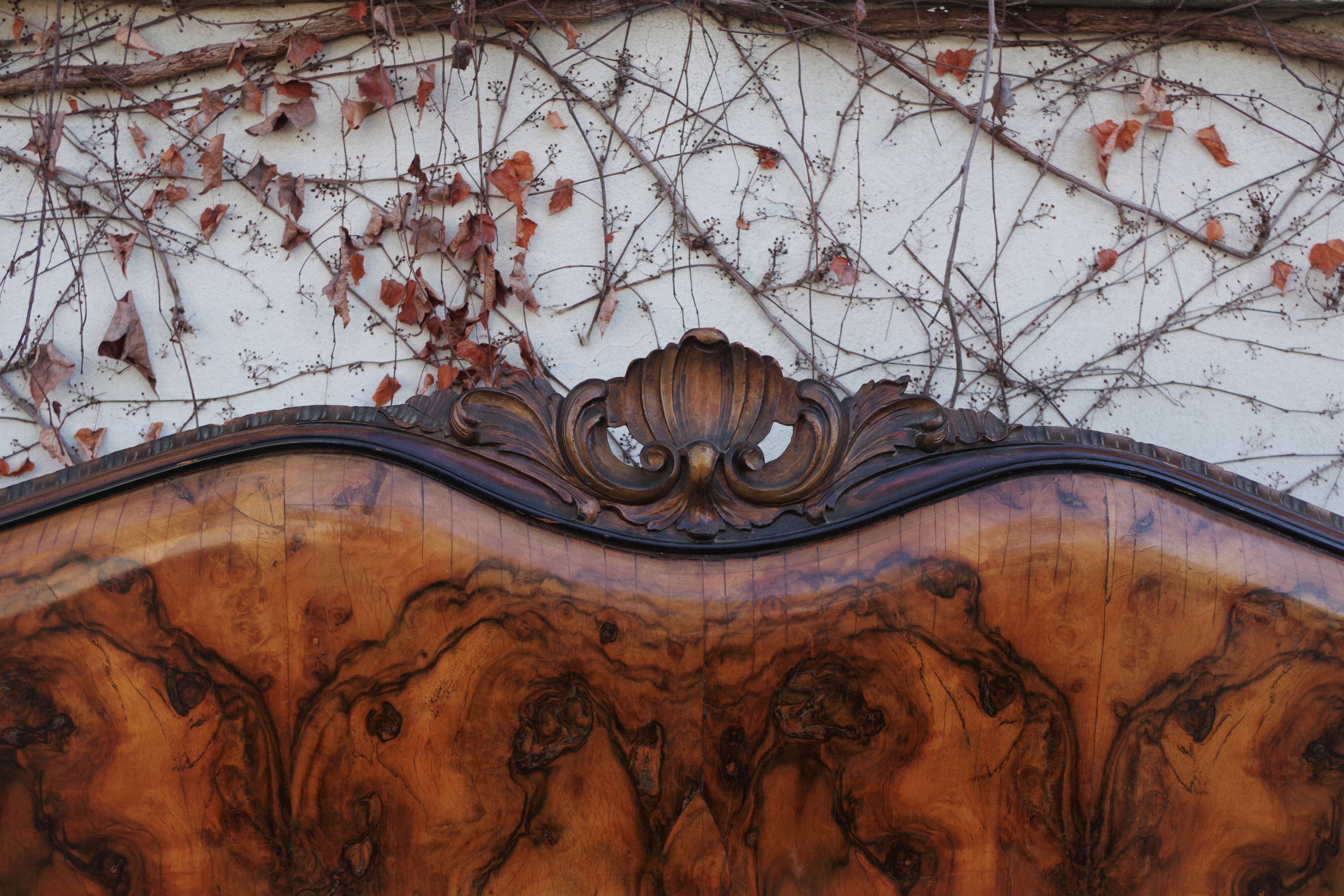 Rounded Walnut Burl Double Bed, 1950s