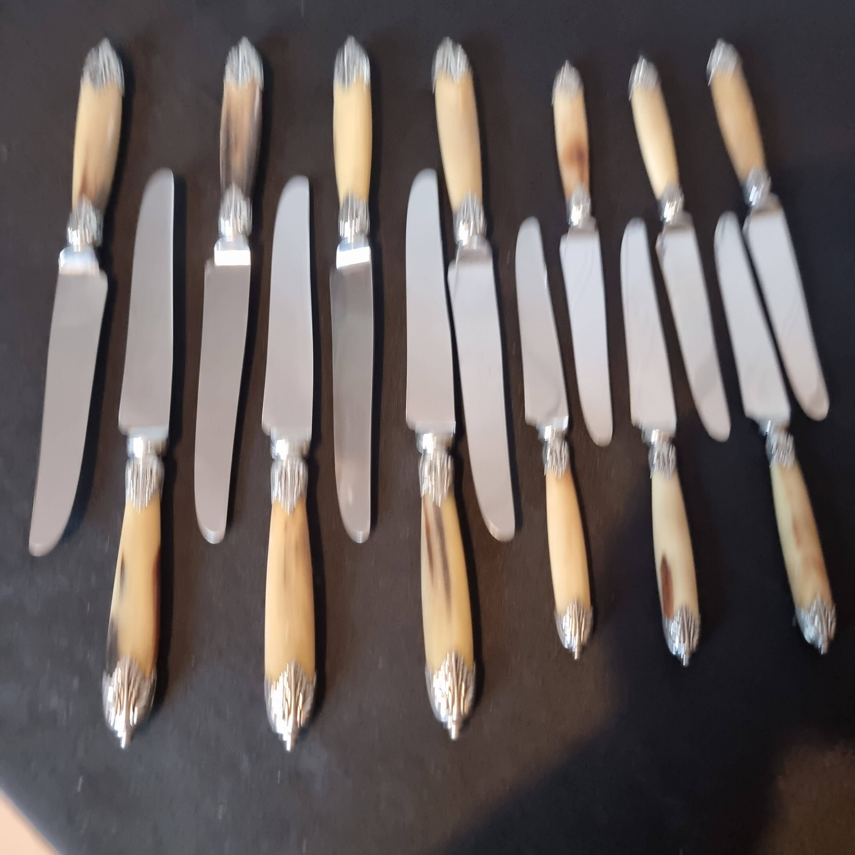 Exquisite set of twelve antique Art Nouveau knives (6+6)