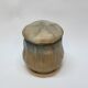 Gilbert Metenier Covered pot in beige and blue art nouveau flamed stoneware