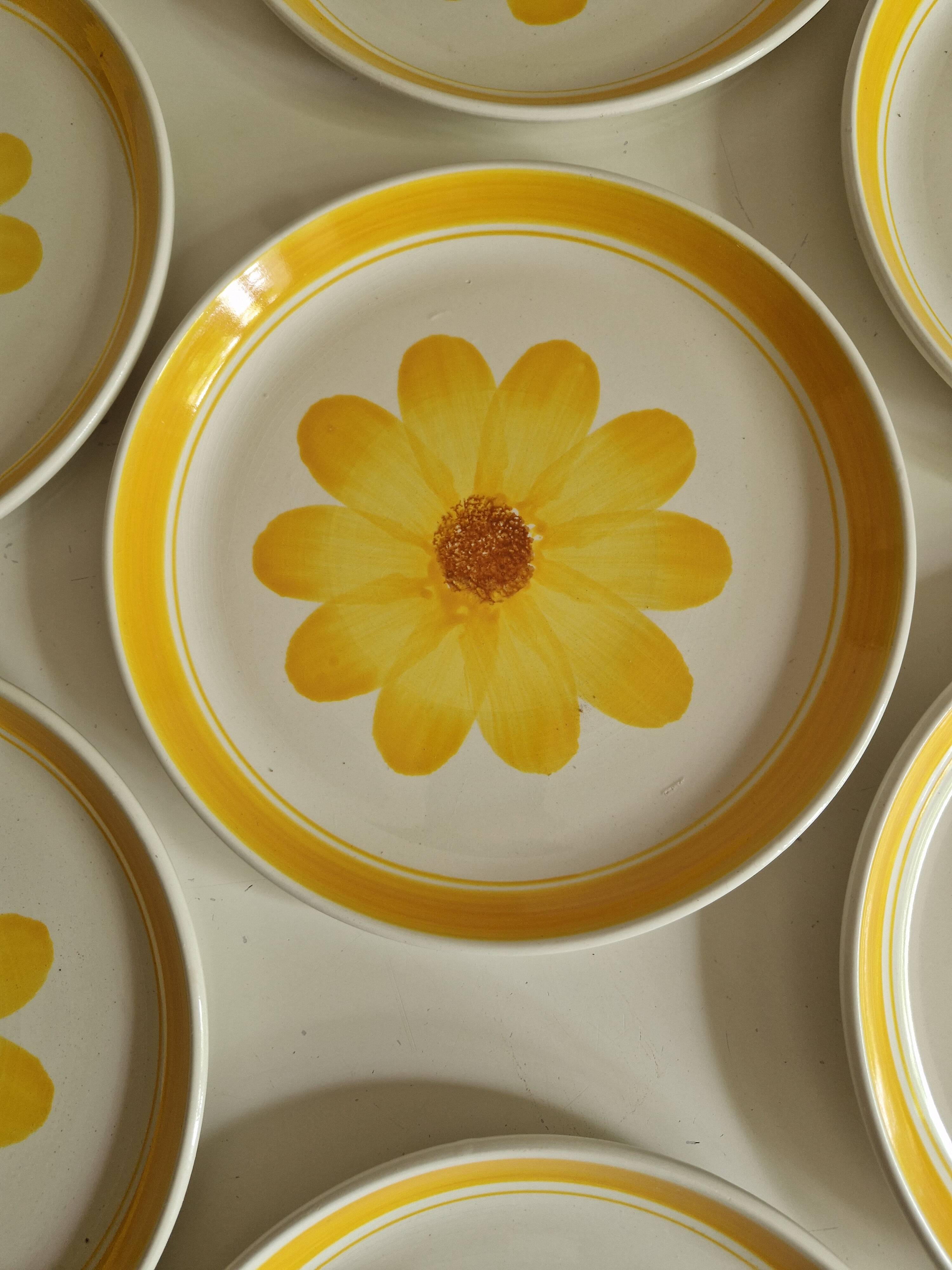 Set of 10 Flat Plates Sarreguemines Model Roseline