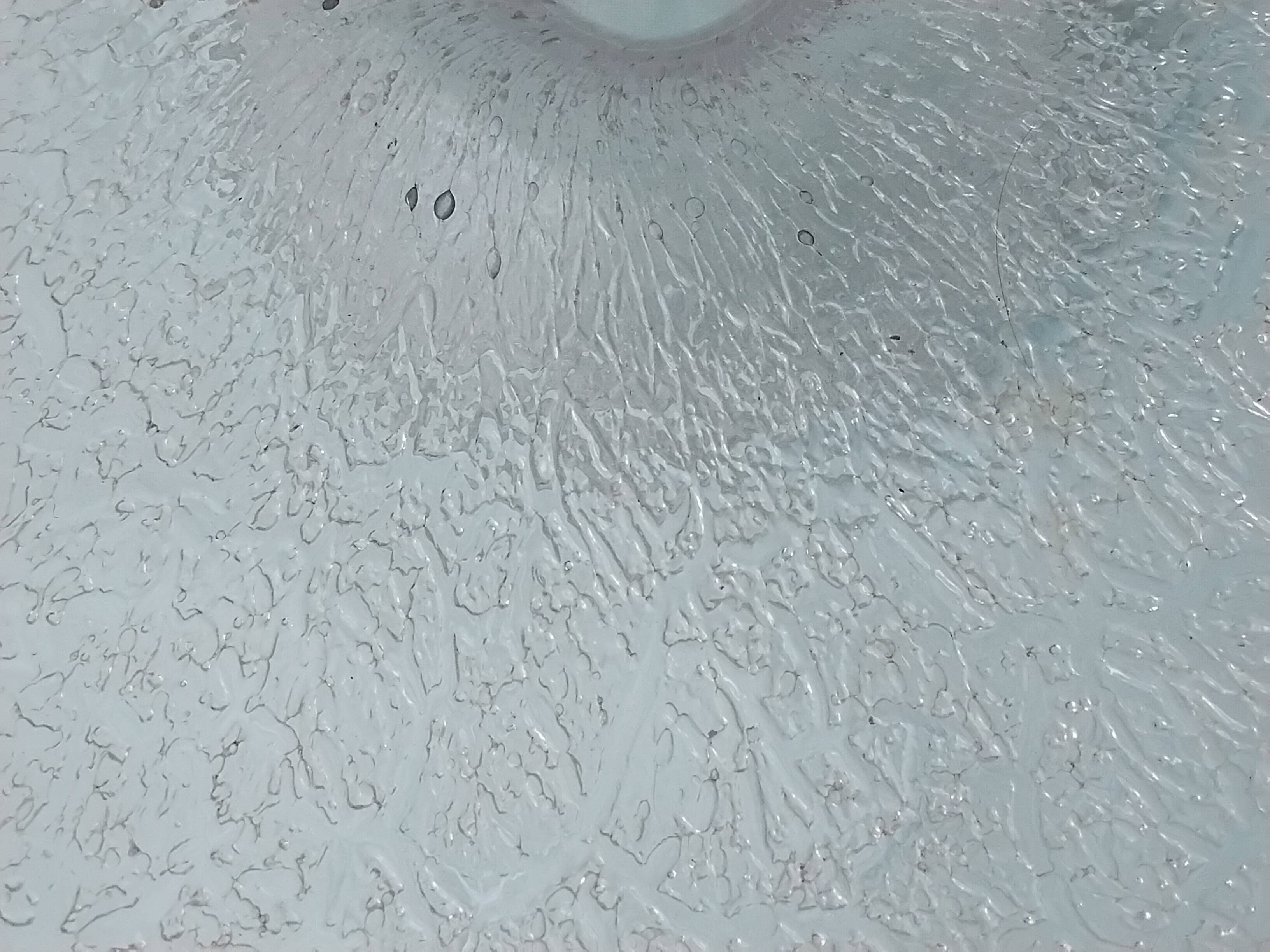 Crystal bowl on a pedestal
