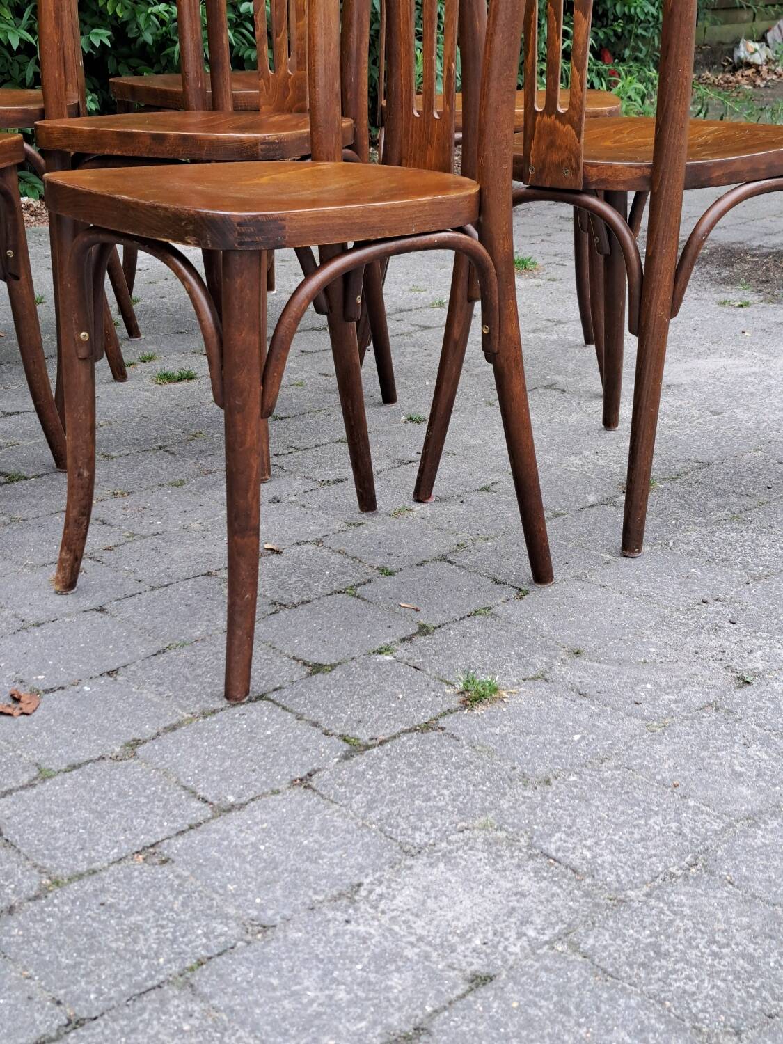 30 vintage Drevounia chairs.