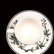 Set of 6 coffee cups and saucers Villeroy & Boch, vintage, Botanica