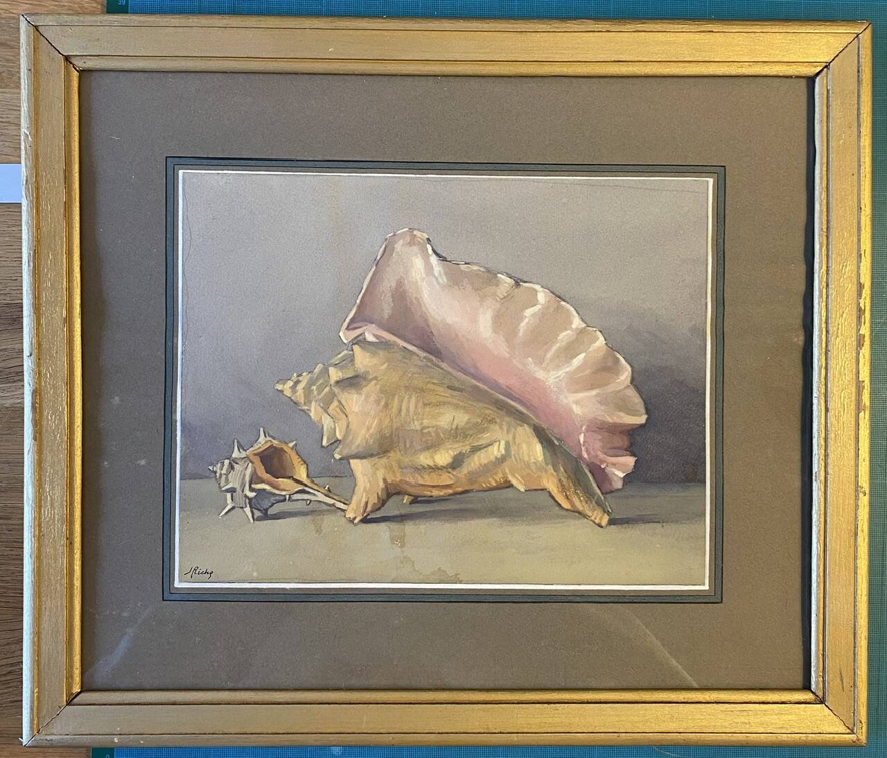 Old painting, still life with shells, 20th century